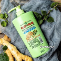 雲林縣農特產生薑肉桂洗髮精-500ml*1瓶